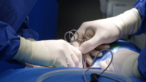 Vasectomie : comprendre l'intervention