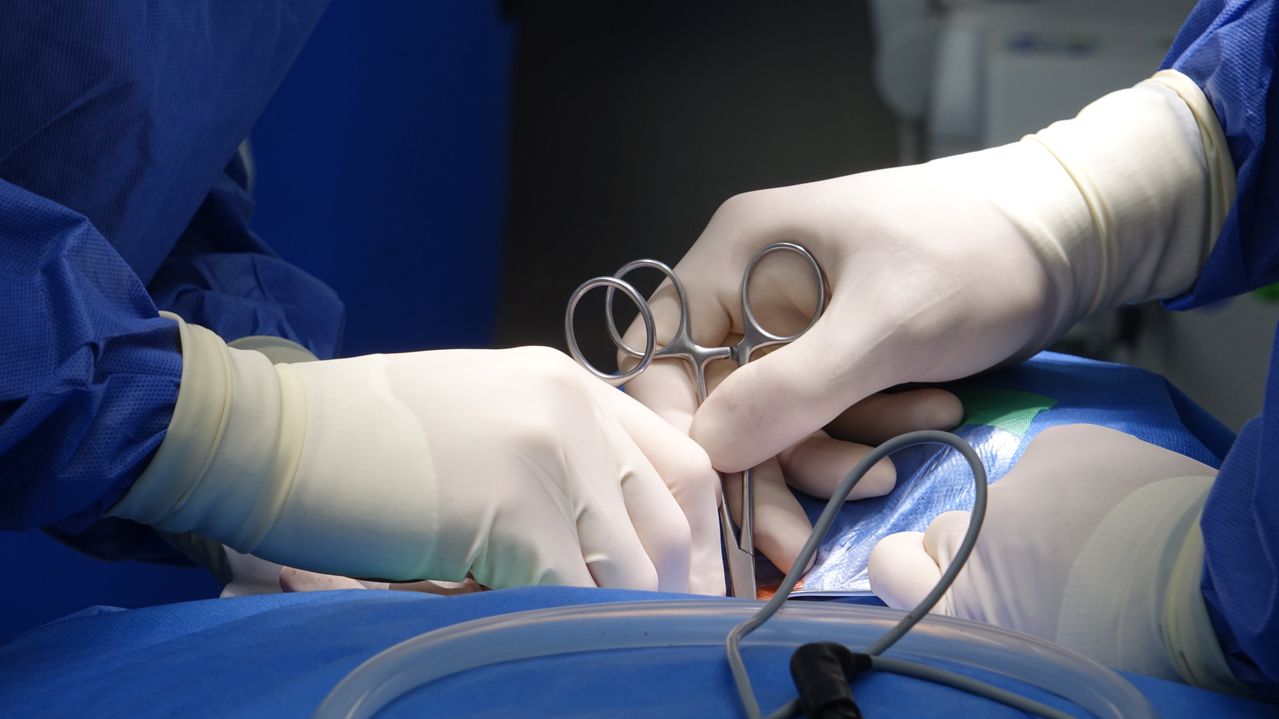 Vasectomie : comprendre l'intervention